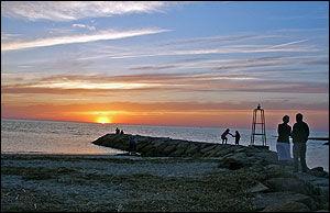Cape Cod