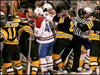 Bruins