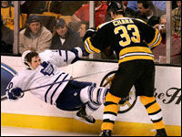 Bruins