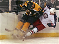 Bruins