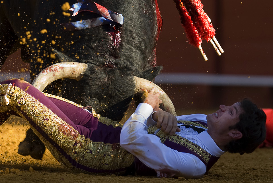 Bullfight Fail