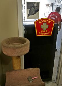 A photo of firehouse cat Maxine hangs at Division I Fire Department Headquarters. Her scratching posts and brush stand as memorials to her 21-year presence at the station.