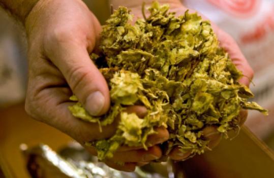 A warehouse fire in Washington state and hail storms in Germany and Slovenia have helped cause a shortage of hops.