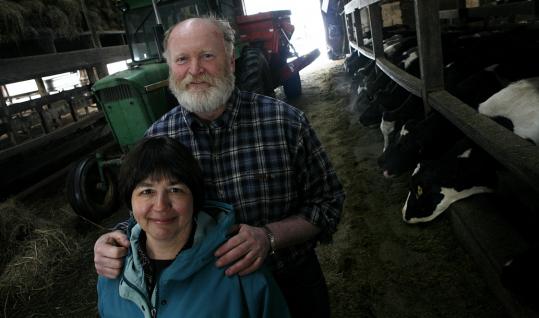 Raymond and Pamela Robinson, owners of a once-conventional dairy in Hardwick, shrank the herd, put all of the cows out to pasture, and transitioned to organic production of raw milk.