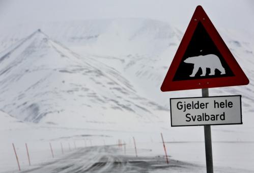 A road sign indicating the presence of polar bears is seen outside the arctic town of Longyearbyen today in Norway. A global seed vault has been carved into the permafrost of a remote Arctic mountain on the island of Svalbard, more than 600 miles from the North Pole, to store the world's crop seeds in case of a disaster.