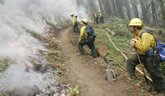 Firefighters started a backfire yesterday in Big Sur, Calif., to stem a wildfire's advance. By yesterday morning, the wildfire had consumed more than 100 square miles and 20 homes.