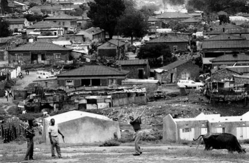 alexandra townships south africa