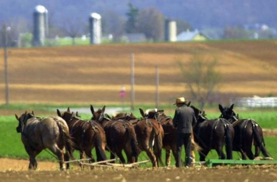 Lancaster Pa Amish