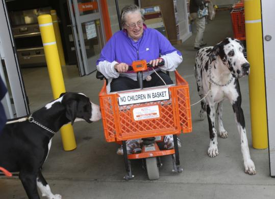 Carlene White, who runs the nonprofit Service Dog Project on her Ipswich farm, brought Great Danes to Home Depot for training on how to assist people with impaired mobility.