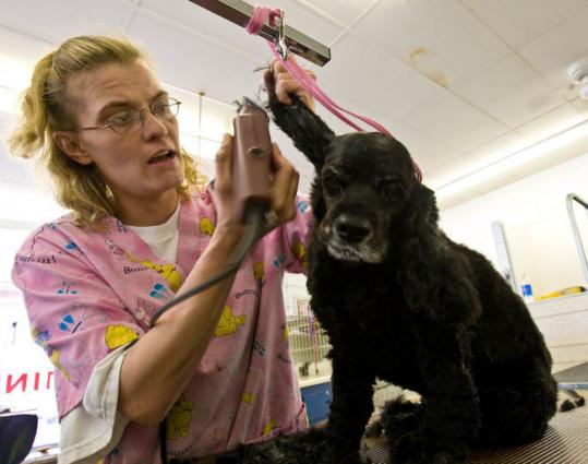 Kari Williams, K-9 Central Grooms owner, says Obama ''knows what it's like to be a normal person.''