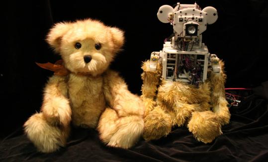 robot teddy bear toy