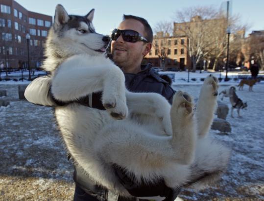 husky scooter