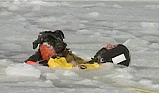 WCVB-TVA firefighter worked to bring the dog ashore yesterday after it fell through the ice in Hingham.