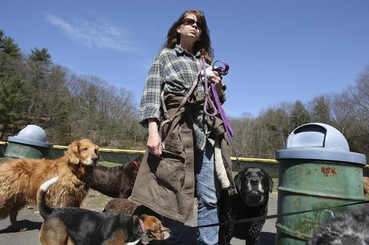 Dog walker Lisa Pattison is careful to make sure her charges are well behaved at Weston's Cat Rock Park: ''We love the park and don't want to lose it.''