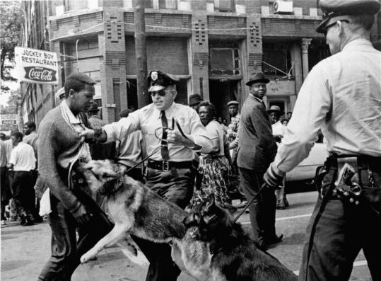 A young civil rights demonstrator was attacked by a police dog during a protest in Birmingham, Ala., in 1963.