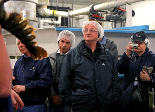 Elderhostel offers travel and learning experiences for members. As part of the group’s “Dine Like a Critic’’ class, members toured a Legal Seafood plant in Boston yesterday.