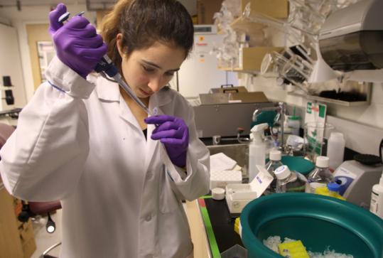 Lisa Rotenstein, a junior, performed research this week. Since 2006, Harvard has unveiled seven new science majors.