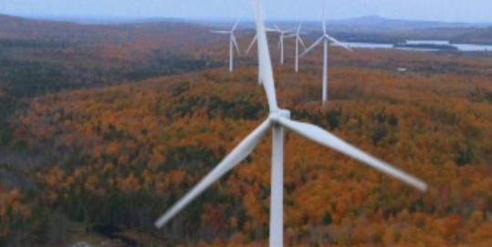 First Wind Holdings Inc., a wind farm developer, had revenues of $47.1 million in 2009, up from $28.8 million in 2008.