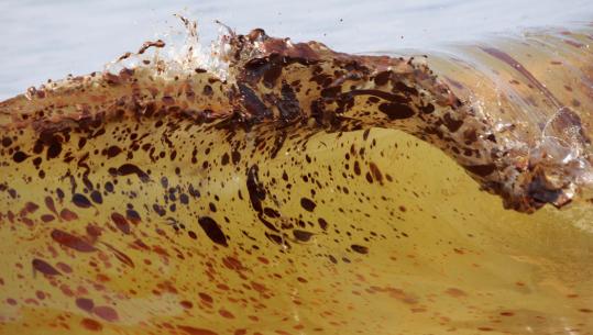 Crude oil from the    spill washed ashore yesterday in Orange Beach, Ala. Large amounts of    oil battered the Alabama coast, leaving deposits about half a foot  thick   in some parts.