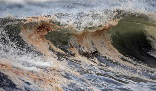 Oily waves came ashore in Orange Beach, Ala., yesterday. Hurricane Alex, though far from the gushing leak site, left the state’s beaches splattered with oil and tar balls the size of apples.