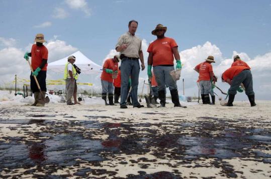 Cleanup workers  picked up some of the globs of oil that had washed ashore yesterday in  Pascagoula, Miss.