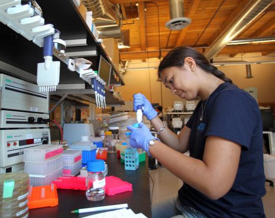 Scientist Holly Moeller worked in the lab at Ginkgo BioWorks, one of the newer companies at Boston Marine Industrial Park.