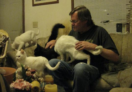 Don confesses on the show about his hoarding of cats.