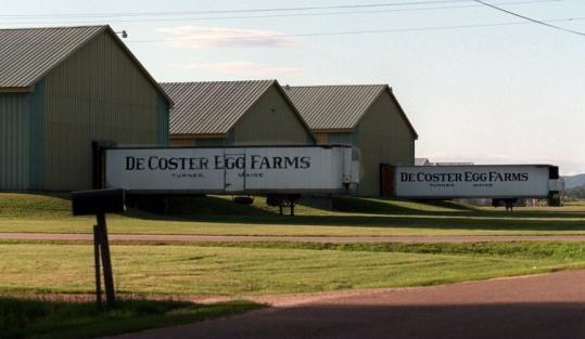 Trucks were backed up to the warehouses at the DeCoster egg farm in Turner, Maine, in this 1996 photo.