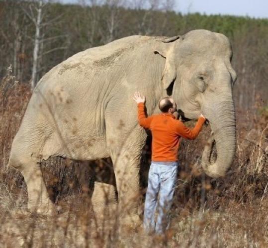 Scott Blais, seen last month, cofounded the refuge, which seeks to play an educational role in elephant care.