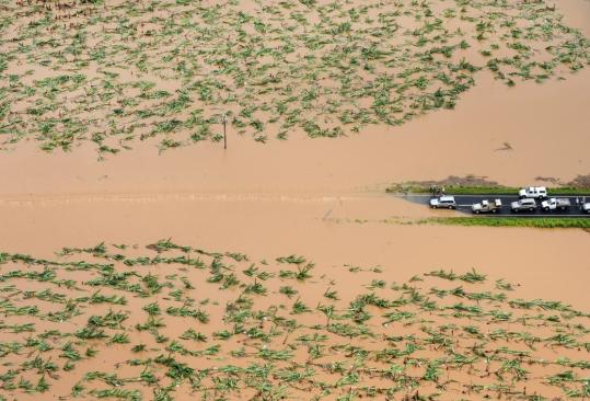 Traffic was stopped at a submerged and detroyed banana plantation near the Queensland town of Tully yesterday after Cyclone Yasi passed through the northern part of the state overnight.