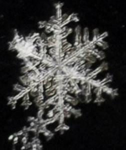 As the temperature drops, different shapes of snowflakes emerge.