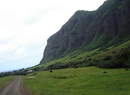Kualoa Ranch, a working cattle ranch on 4,000 acres, has served as the backdrop for movies and television shows.
