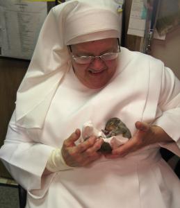 Sister Mary Vincent held one of the squirrels she helped rescue. The squirrels were so young they had yet to open their eyes.