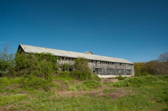 Joint Effort Underway To Save Walpole S Last Working Farm The