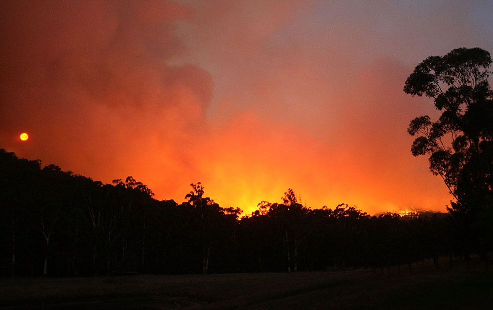 Bushfires Pictures
