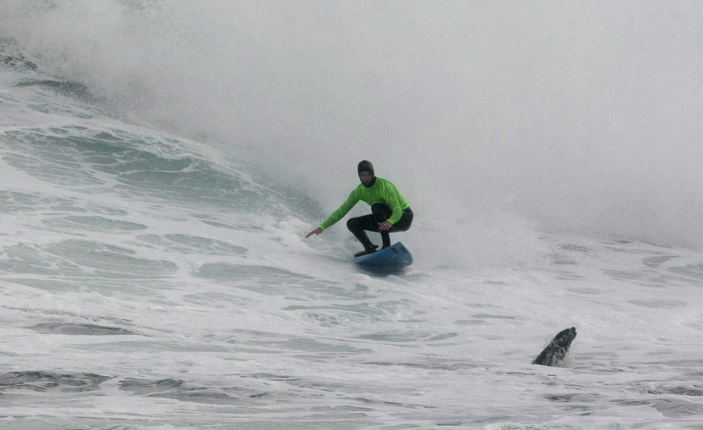 south africa surf
