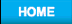 Home button