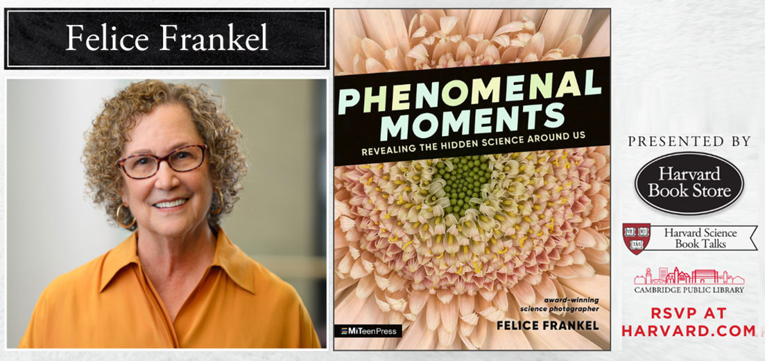 Felice Frankel: Phenomenal Moments: Revealing the Hidden Science Around Us