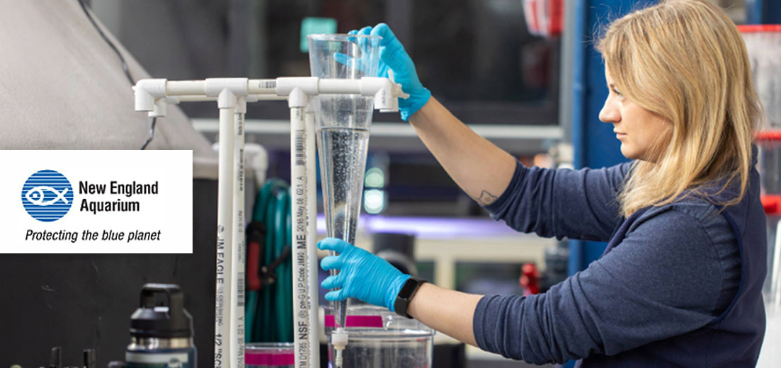 Innovations in Aquaculture: Larval Fishes at the New England Aquarium