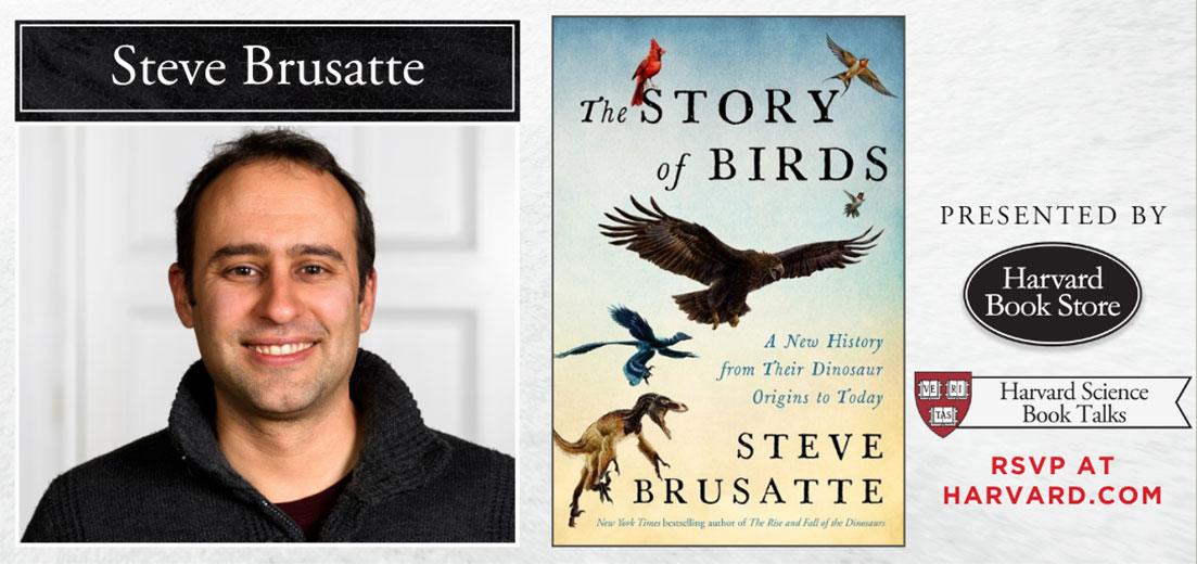 Steve Brusatte: The Story of Birds