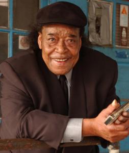 The Reel Blues Fest to honor James Cotton - The Boston Globe