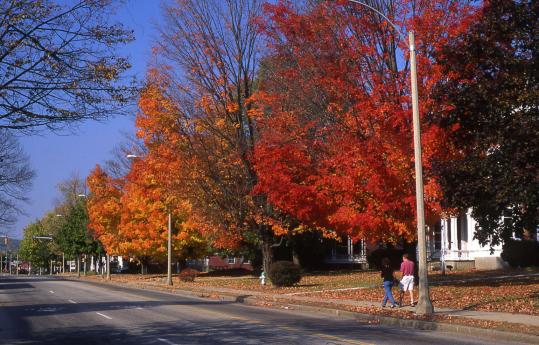 Keene, N.H.: an active, bright college town in a pretty, pastoral ...