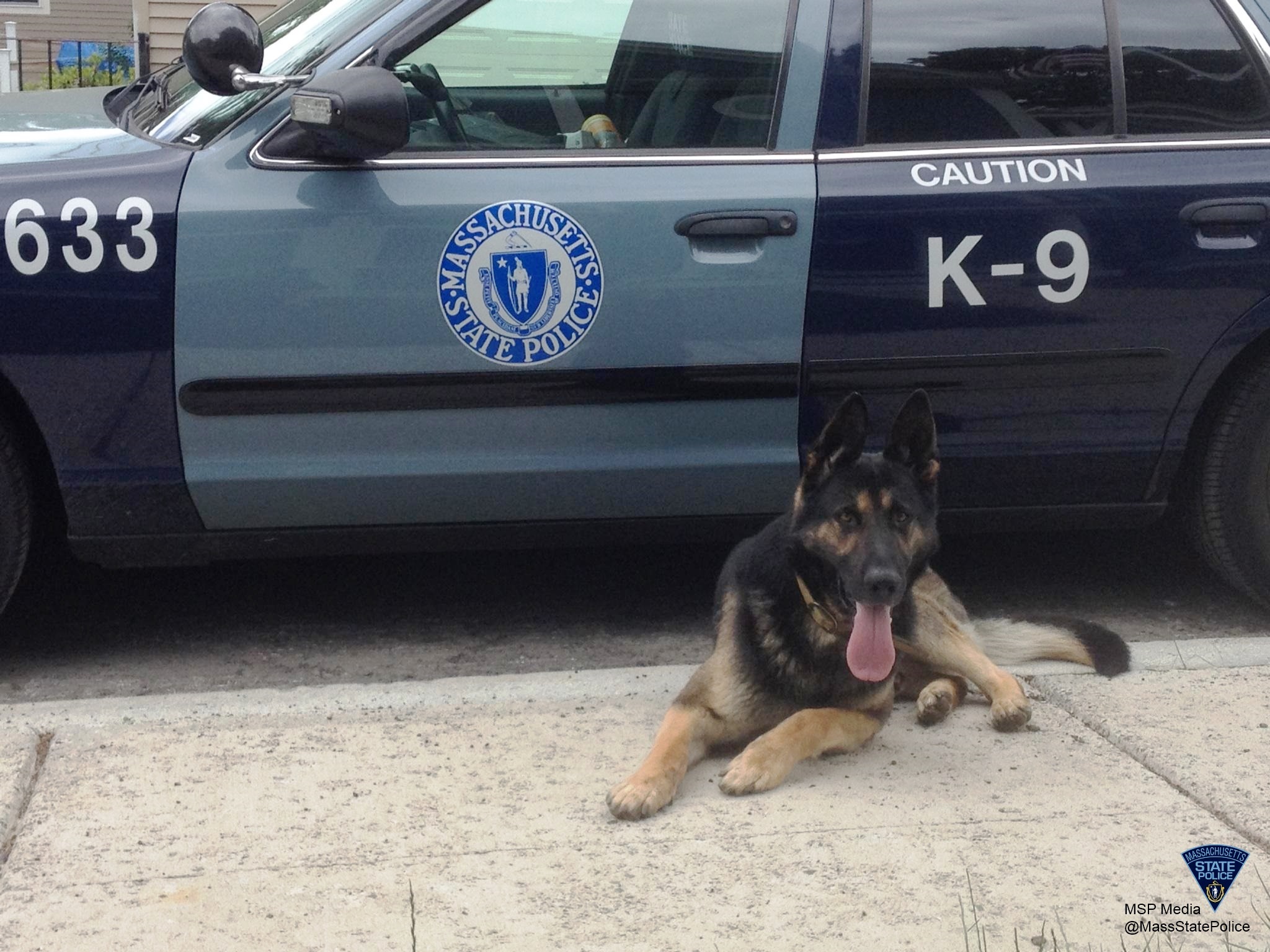 17 Dog Heroes of the Massachusetts State Police | Boston.com